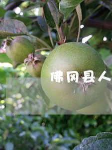 佛冈县人身侵权律师哪家强 佛冈县人身侵权律师哪家强
