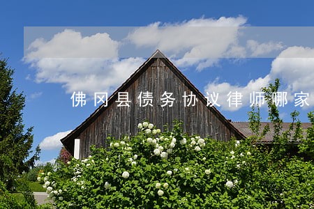 佛冈县债务协议律师哪家不错 佛冈县债务协议律师哪家不错