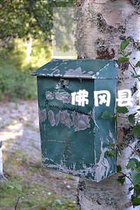 佛冈县债务投资律师