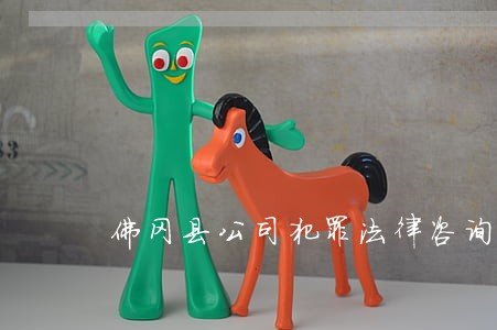 佛冈县公司犯罪法律咨询热线 佛冈县公司犯罪法律咨询热线