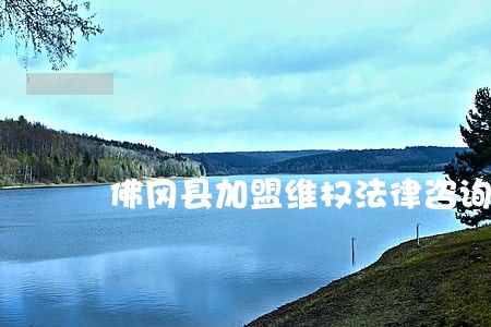 佛冈县加盟维权法律咨询热线