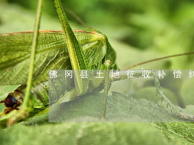 佛冈县土地征收补偿纠纷律师 佛冈县土地征收补偿纠纷律师