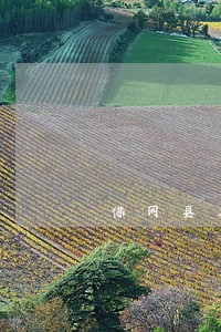 佛冈县工商查询律师咨询电话 佛冈县工商查询律师咨询电话