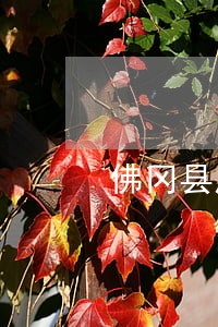 佛冈县房产纠纷法律咨询 佛冈县房产纠纷法律咨询