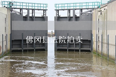 佛冈县法院拍卖 佛冈县法院拍卖