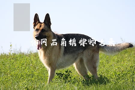 佛冈石角镇律师名录 佛冈石角镇律师名录