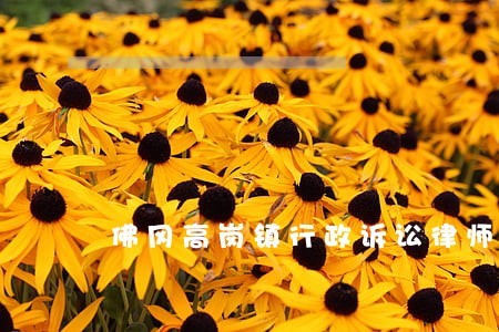 佛冈高岗镇行政诉讼律师 佛冈高岗镇行政诉讼律师
