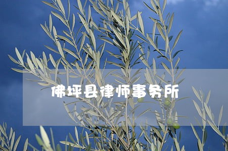 佛坪县律师事务所 佛坪县律师事务所