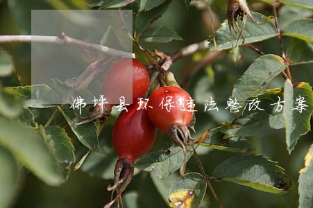 佛坪县环保违法整改方案 佛坪县环保违法整改方案