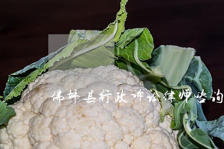 佛坪县行政诉讼律师咨询电话 佛坪县行政诉讼律师咨询电话