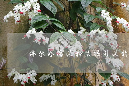佛尔哈德法和法扬司法的原理 佛尔哈德法和法扬司法的原理