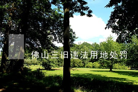 佛山三旧违法用地处罚 佛山三旧违法用地处罚