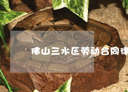 佛山三水区劳动合同律师在线咨询 佛山三水区劳动合同律师在线咨询
