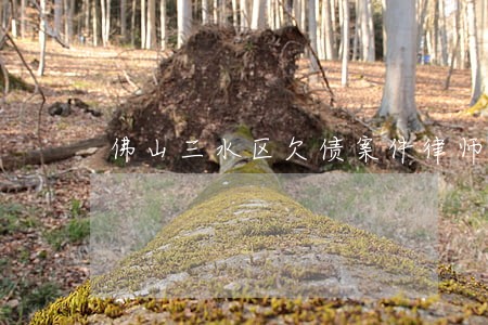 佛山三水区欠债案件律师费用多少 佛山三水区欠债案件律师费用多少