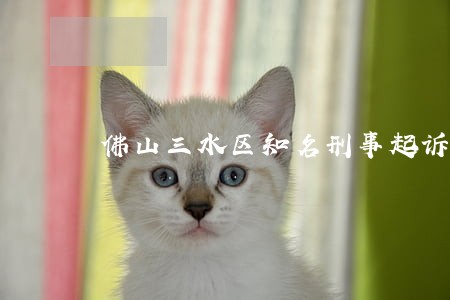 佛山三水区知名刑事起诉律师 佛山三水区知名刑事起诉律师
