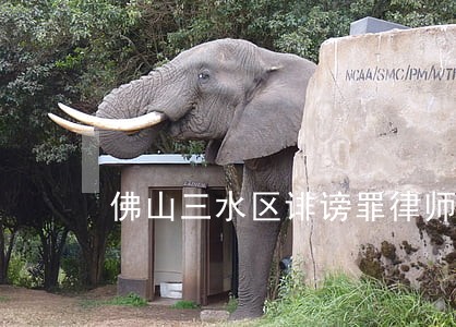 佛山三水区诽谤罪律师咨询电话