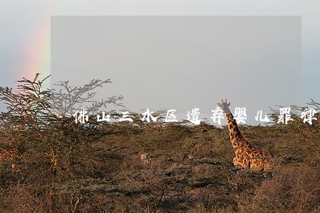 佛山三水区遗弃婴儿罪律师代理 佛山三水区遗弃婴儿罪律师代理
