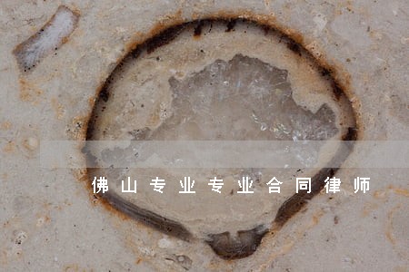 佛山专业专业合同律师 佛山专业专业合同律师