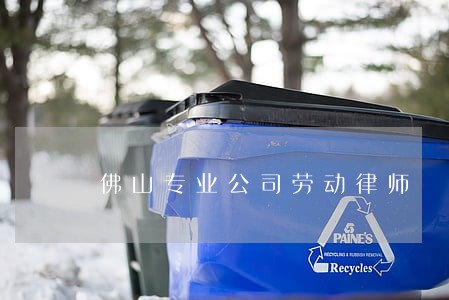 佛山专业公司劳动律师