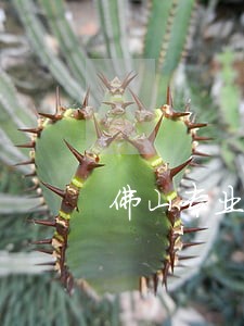 佛山专业法律咨询热线 佛山专业法律咨询热线