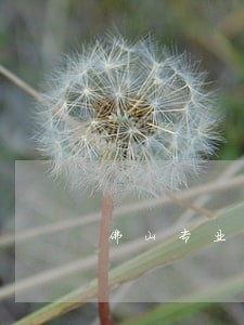 佛山专业著作权侵权律师 佛山专业著作权侵权律师