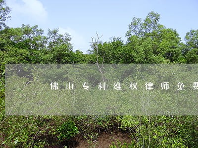 佛山专利维权律师免费在线咨询