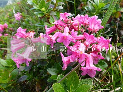 佛山专职劳动争议仲裁律师 佛山专职劳动争议仲裁律师