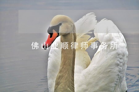 佛山业顺律师事务所
