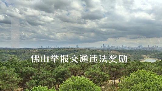 佛山举报交通违法奖励