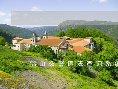 佛山交警违法查询系统 佛山交警违法查询系统