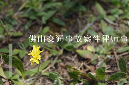 佛山交通事故案件律师事务所 佛山交通事故案件律师事务所