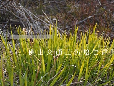 佛山交通工伤赔偿律师强烈推荐 佛山交通工伤赔偿律师强烈推荐