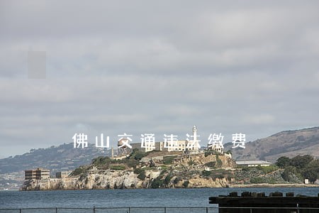 佛山交通违法缴费
