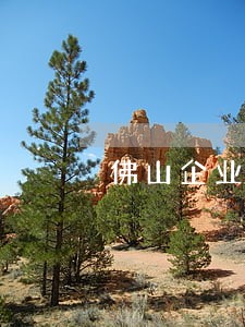 佛山企业法律顾问热线 佛山企业法律顾问热线
