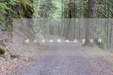 佛山企业股权法律咨询 佛山企业股权法律咨询