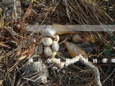 佛山优秀房产纠纷律师不收费咨询 佛山优秀房产纠纷律师不收费咨询