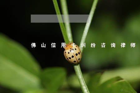 佛山信用卡纠纷咨询律师 佛山信用卡纠纷咨询律师