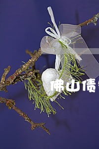 佛山债务债权法律咨询 佛山债务债权法律咨询