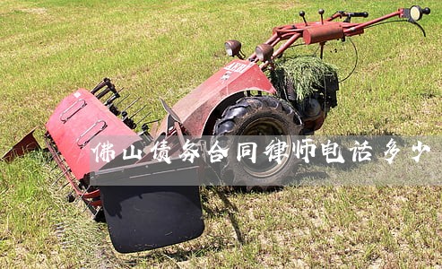 佛山债务合同律师电话多少 佛山债务合同律师电话多少