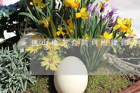 佛山债务合同纠纷律师咨询平台 佛山债务合同纠纷律师咨询平台