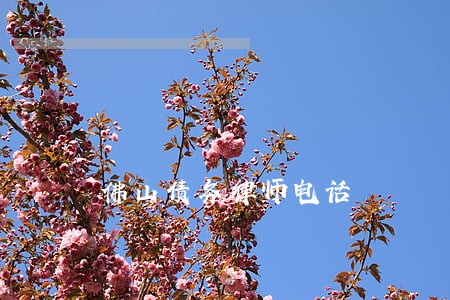 佛山债务律师电话 佛山债务律师电话