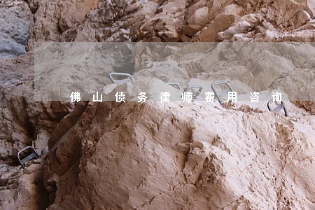 佛山债务律师费用咨询 佛山债务律师费用咨询