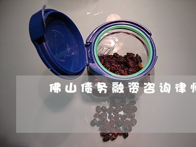 佛山债务融资咨询律师 佛山债务融资咨询律师