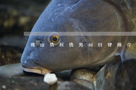 佛山债权债务纠纷律师介绍 佛山债权债务纠纷律师介绍