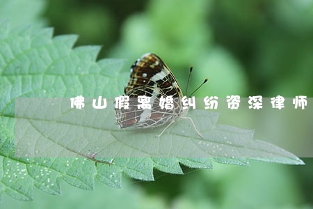 佛山假离婚纠纷资深律师 佛山假离婚纠纷资深律师