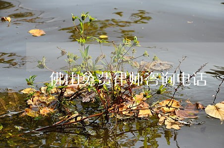 佛山免费律师咨询电话 佛山免费律师咨询电话