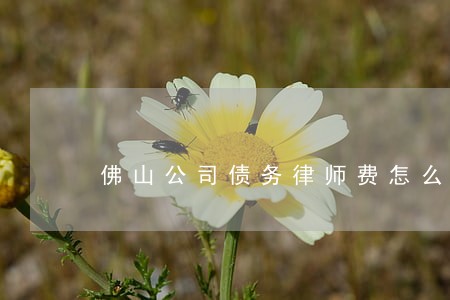 佛山公司债务律师费怎么算 佛山公司债务律师费怎么算