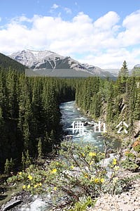 佛山公司债务纠纷律师 佛山公司债务纠纷律师