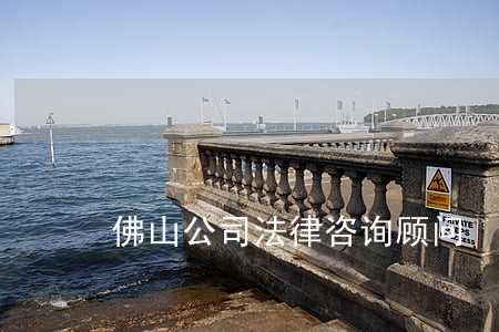 佛山公司法律咨询顾问 佛山公司法律咨询顾问