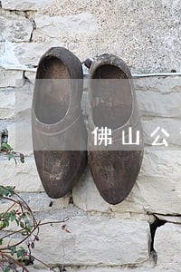 佛山公司法律顾问团队